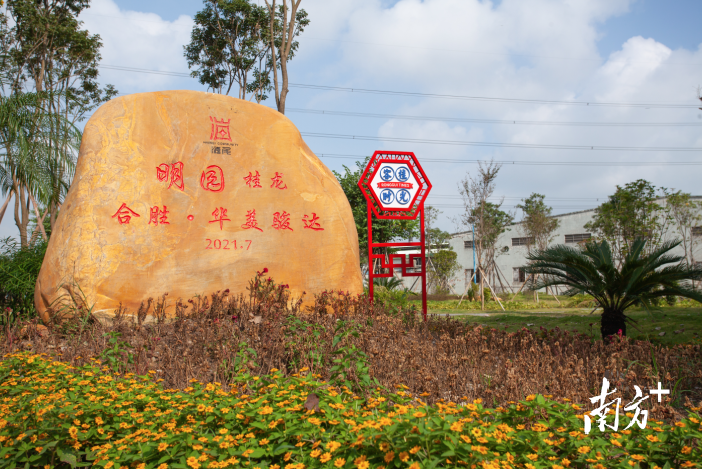 明园·海尾桂龙生态公园占地约30亩，是集景观生态、休闲、停车于一体的绿色空间。陈兴 摄
