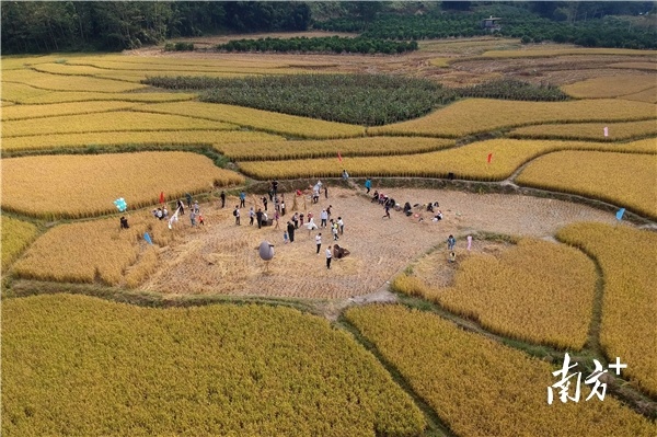 南方+ 梁维春 拍摄