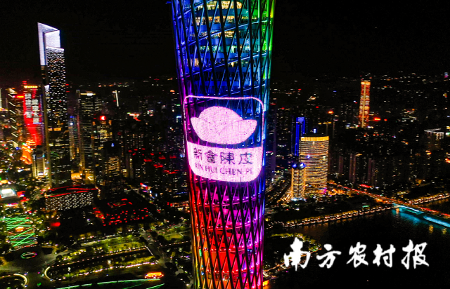 新会陈皮登上广州塔。