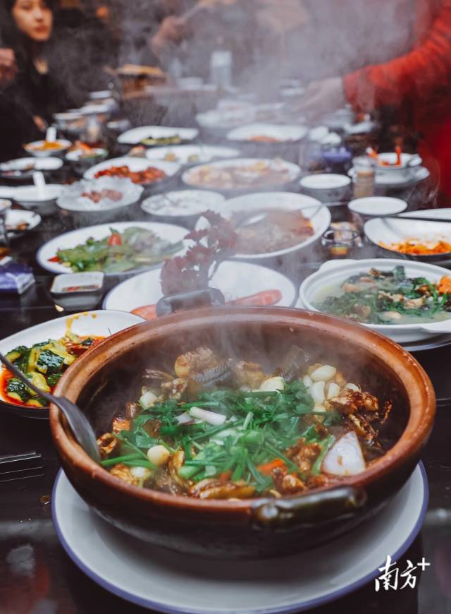 南方农村报 许俊仟 拍摄