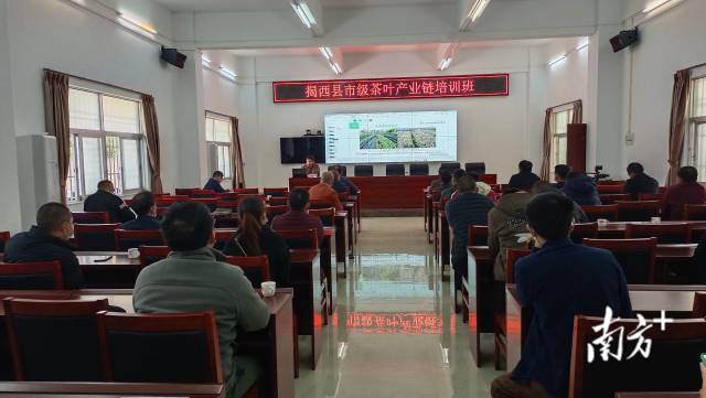 揭西：开展种茶炒茶实用技能培训，探索农业产业链发展新路子