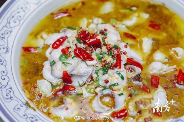 南方农村报 许俊仟 拍摄