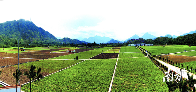 从玉蔬菜生产基地。