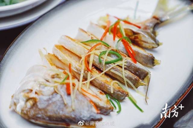 南方农村报 许俊仟 拍摄