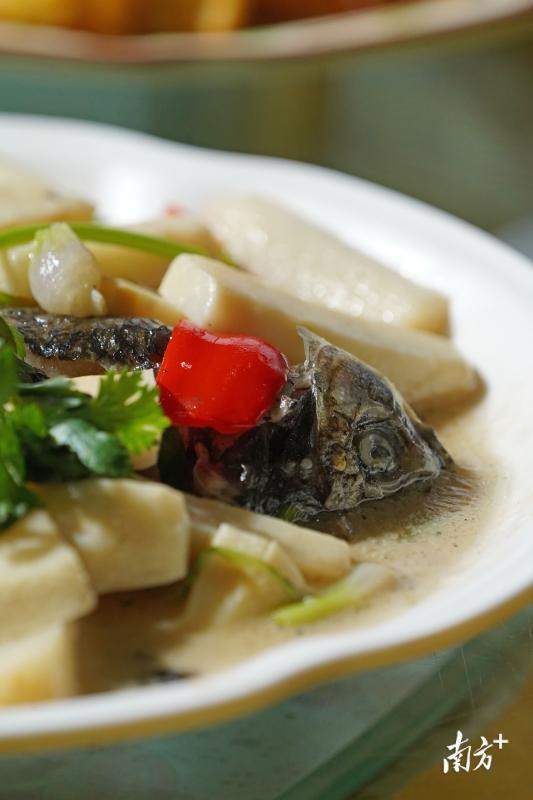 鲫鱼竹笋汤。戴嘉信摄