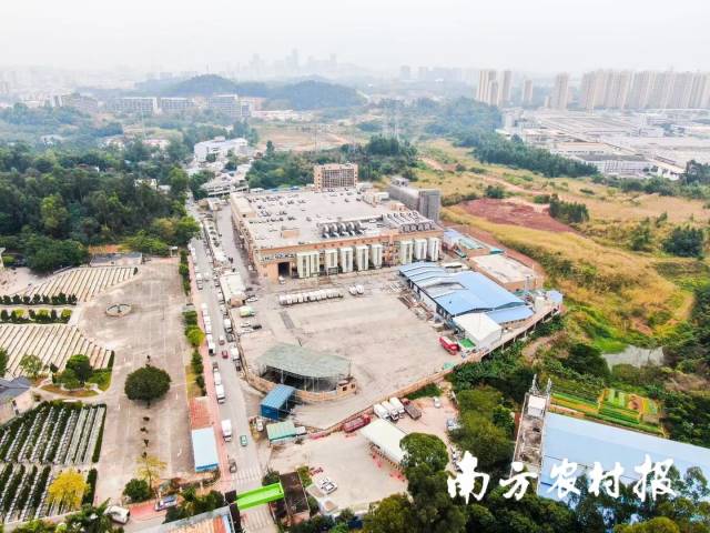 广州市番禺食品有限公司大石4A屠宰场鸟瞰图