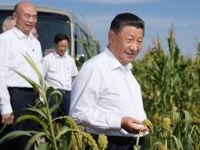 这一年，总书记的基层足迹