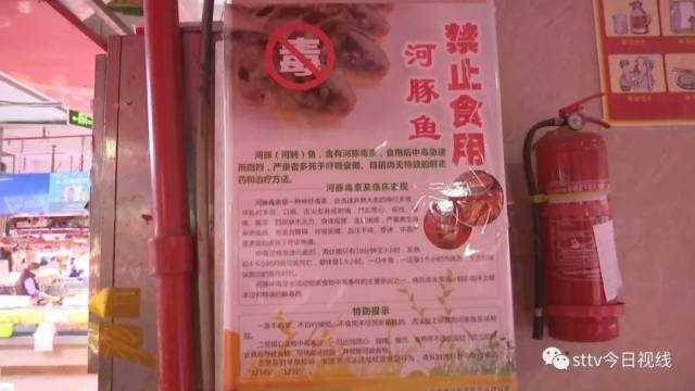 秦皇岛海湾扇贝：滋养沿海舌尖上的鲜美
