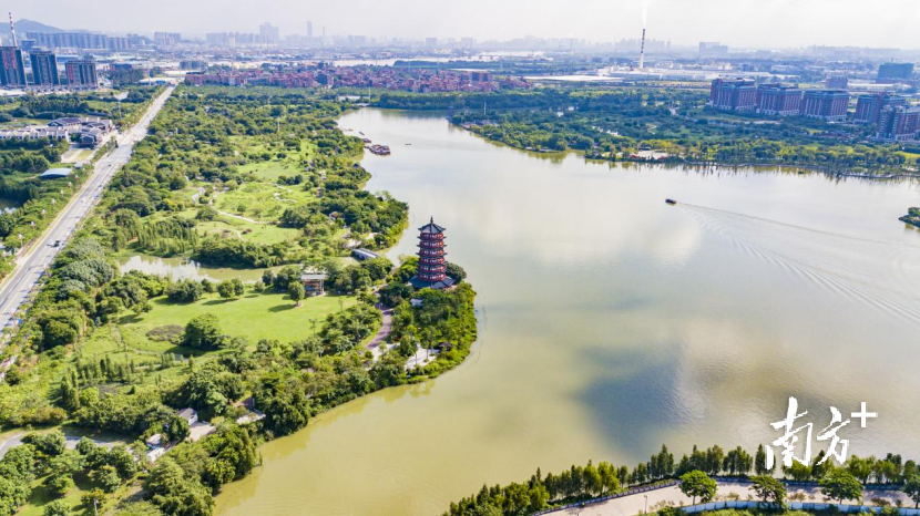 麻涌华阳湖国家湿地公园 黄伟兴摄