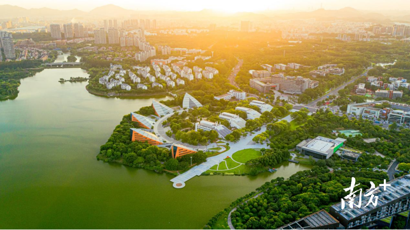 东莞松山湖 黄政正摄