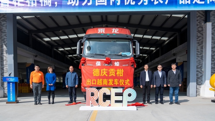 德庆贡柑出口越南“第一柜”发车，开拓RCEP国际新航道