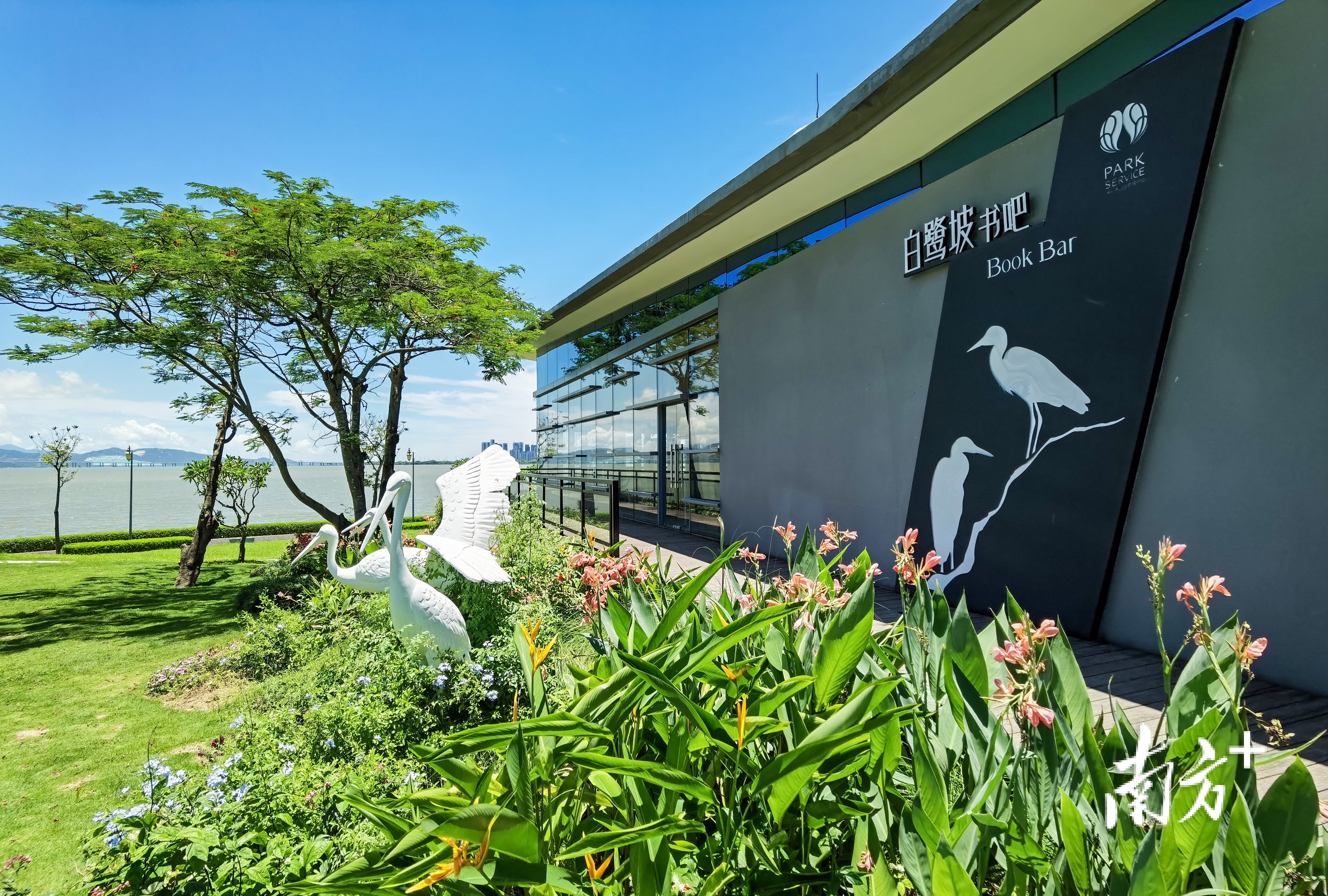 深圳湾公园“白鹭坡”书吧