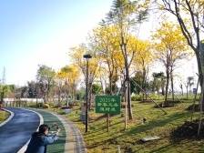 2022年禅城将打造两大特色碧道环｜禅城两会