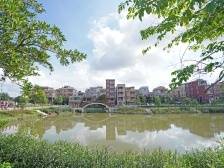 城乡协调发展开新局，农村“潜力股”后劲十足｜顺德两会