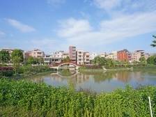 黄长旺：高质量做好滨水都会乐从篇章，塑造人心向往之城｜顺德两会 十镇访谈