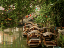 胡永峰：打造岭南特色示范水乡，实现杏坛绿色崛起｜顺德两会 十镇访谈