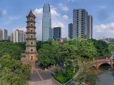 推动全民参与城市管理，探索“物业城市”新模式｜顺德两会