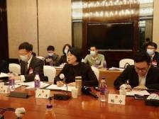 严冰：石湾要抢抓机遇实现发展大提速｜禅城两会