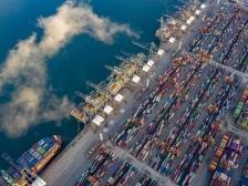 11个月进出口已超全年！广东外贸靠什么“爆单”？