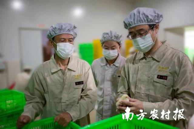 通讯员 南方农村报 供图