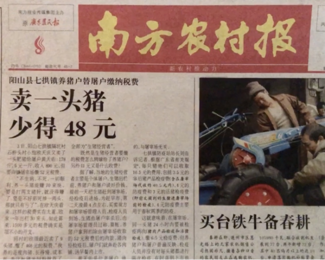 2006年3月11日头版文章《卖一头猪少得48元》