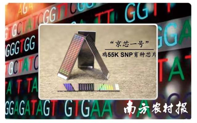 通讯员 南方农村报 供图