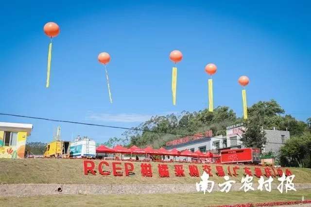 RCEP柑橘采购交易（广东德庆）中心揭牌