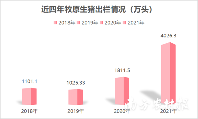 牧原股份2021年出栏生猪4026万头，超前三年总和！