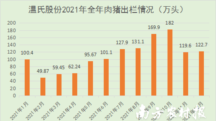 温氏股份：2021年出栏肉猪1321万头，销售肉鸡11亿只！