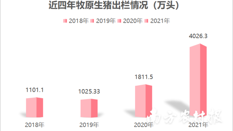 牧原股份2021年出栏生猪4026万头，超前三年总和！