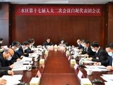 李军：把握三大发展机遇，政府要当好“引导员”和“服务员” | 三水两会