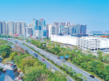 佛山政协委员踊跃献策，市长白涛：把委员智慧结晶尽快转化为发展成果