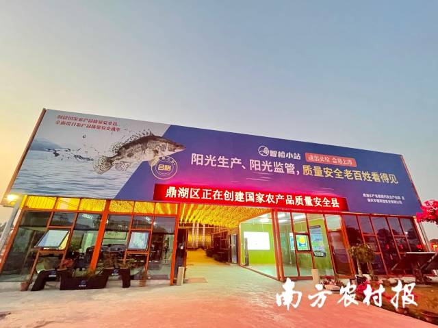抽检合格率100%！广东肇庆鼎湖完善水产品质量安全“最初一公里”