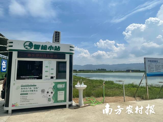 南方农村报 黄旭君 拍摄