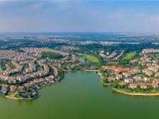 市人大代表陆文勇：建议建设通向仙湖氢谷的轨道｜佛山两会