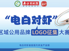倒计时15天！电白对虾区域公用品牌LOGO征集万元奖金等你拿