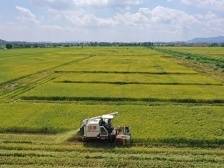 佛山市农业农村局局长何战：力促三产融合，推动现代都市农业发展｜南方访谈