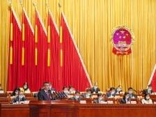 过去5年，佛山法院受案数结案数均超120万件｜佛山两会