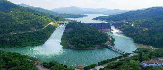 恩平市农业农村局供图