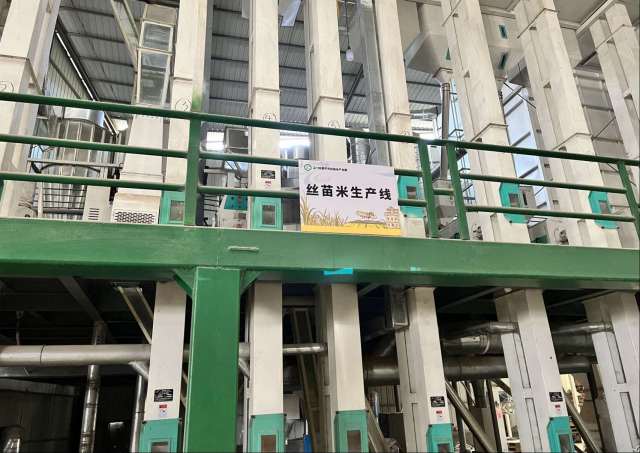 恩平市丰江农业专业合作社丝苗米生产线