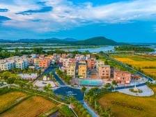 阳江市委书记冯玲：奋力绘就乡村全面振兴新画卷