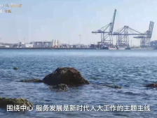 惠州市十二届人大常委会工作亮点回顾②|履职担当服务大局