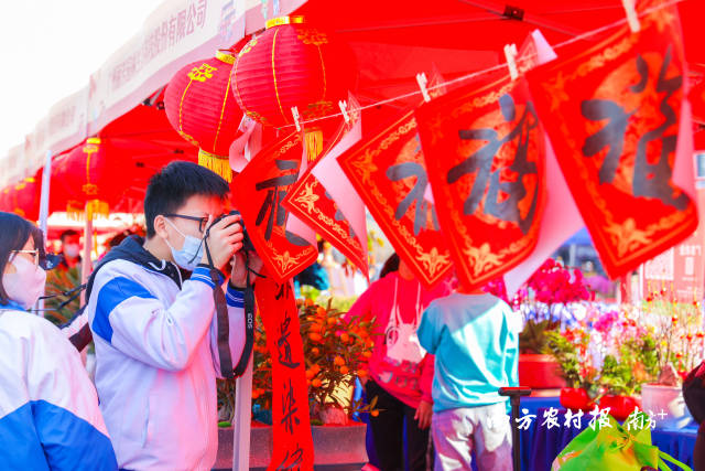 阳光下的花漾世界，引来一波又一波摄影爱好者
