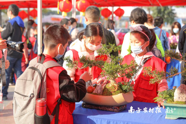  花季少年逛花展，更多是在认识自然