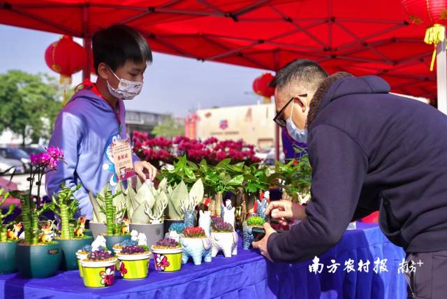 “染色的多肉，紫色的、蓝色的、红色的都有，可好看了你选哪一个？”得空帮妈妈经营花档的小学生热情招呼着。