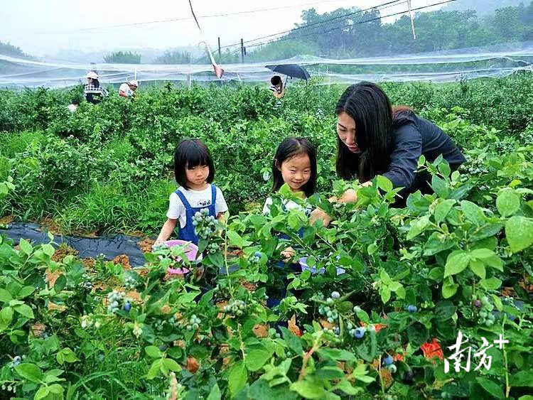 仁化有2家农场荣获“广东省省级示范家庭农场”称号!