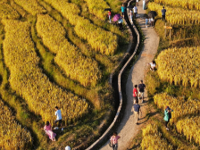 疫情让跨省游摁下“暂停键”，广东文旅居然还能这样出圈