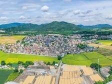 中山市委书记郭文海：攻坚克难真抓实干，全面建设“美丽乡村”升级版