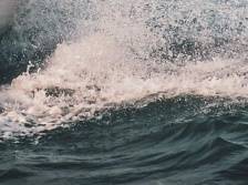 徐闻4人获评“广东好人”：与海浪抢人，勇救7名落水渔民