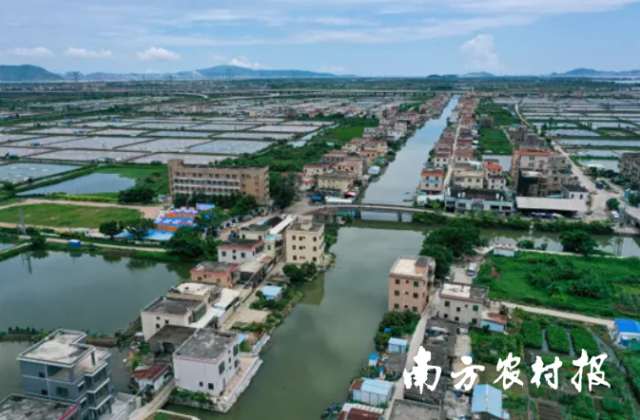 0  南方農(nóng)村報 譚家富 拍攝